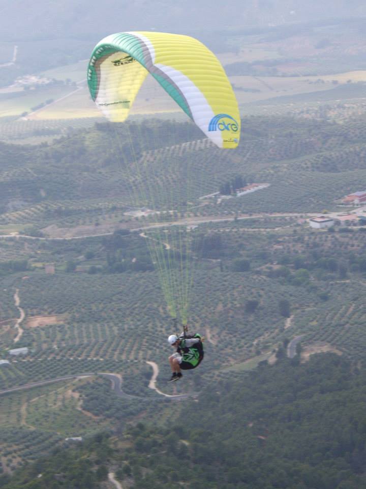 Glider - Alongi Glider - Alongi