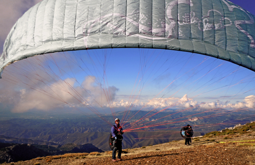 Glider - Schneider Gill Glider - Schneider Gill